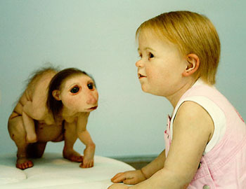 Patricia Piccinini /Australia