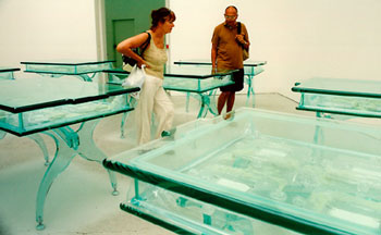 Mathew Barney/USA