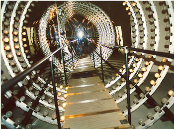 Carsten Holler/Germany