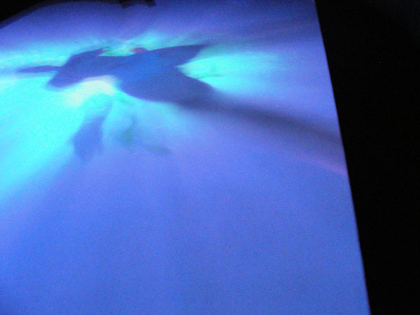 Фиг. 1. Пипилоти Рист, Lobe of the Lung, 2009, аудио видео инсталация