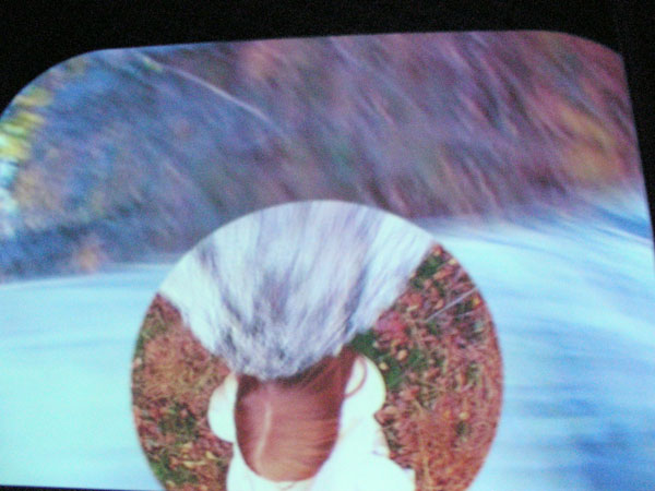 Фиг. 4. Пипилоти Рист, A la belle etoile (Under The Sky), 2007, аудио видео инсталация, музика Homo Sapiens Sapiens, 2005, Андерс Гуигсбърг и Пипилоти Рист