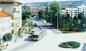 Луковит